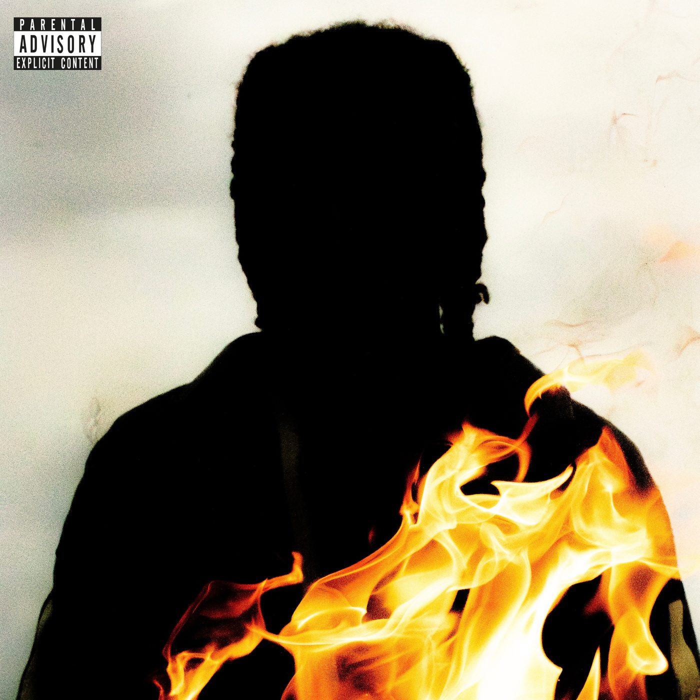 ARSONIST cover